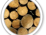 Comment choisir votre bois pour construire votre terrasse