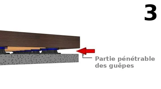 Repérez les zones par lesquelles les guêpes peuvent pénétrer