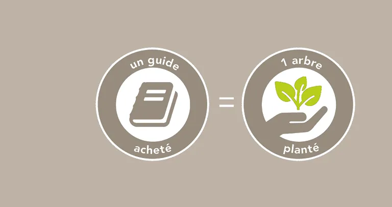 Plantez un arbre !