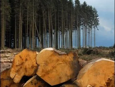 Respect de l'environnement