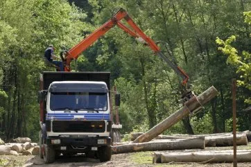 Une exploitation forestière 