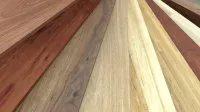 Vignette de l'article : La classification des différentes essences de bois