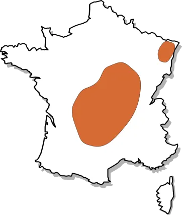 Zone de production du douglas
