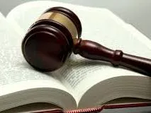 Sections courantes pour les bois résineux