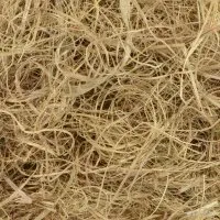 Vignette de l'article : Les fibres