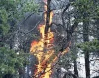 Vignette de l'article : Le feu - Les variations climatiques - Le soleil