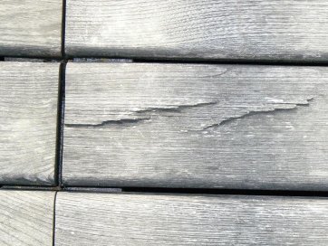 Gerces. Phénomène heureusement très rare mais plus fréquent chez certaines essences